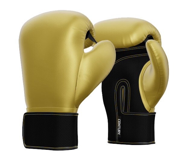 century kickboxing gloves