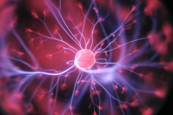 neuropsychology image